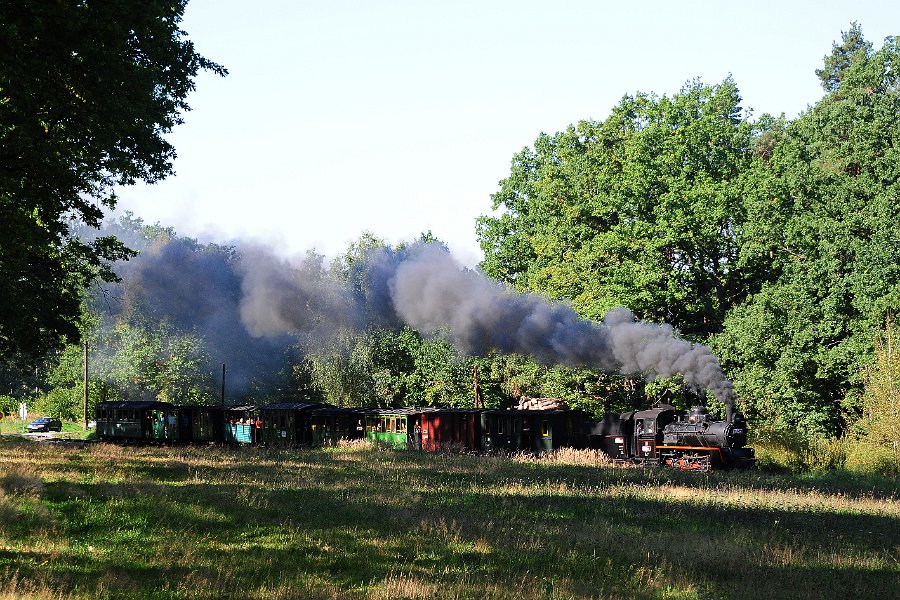 2021.09.25 JHMD U46.101 Jindřichův Hradec - Nová Bystřice (15)